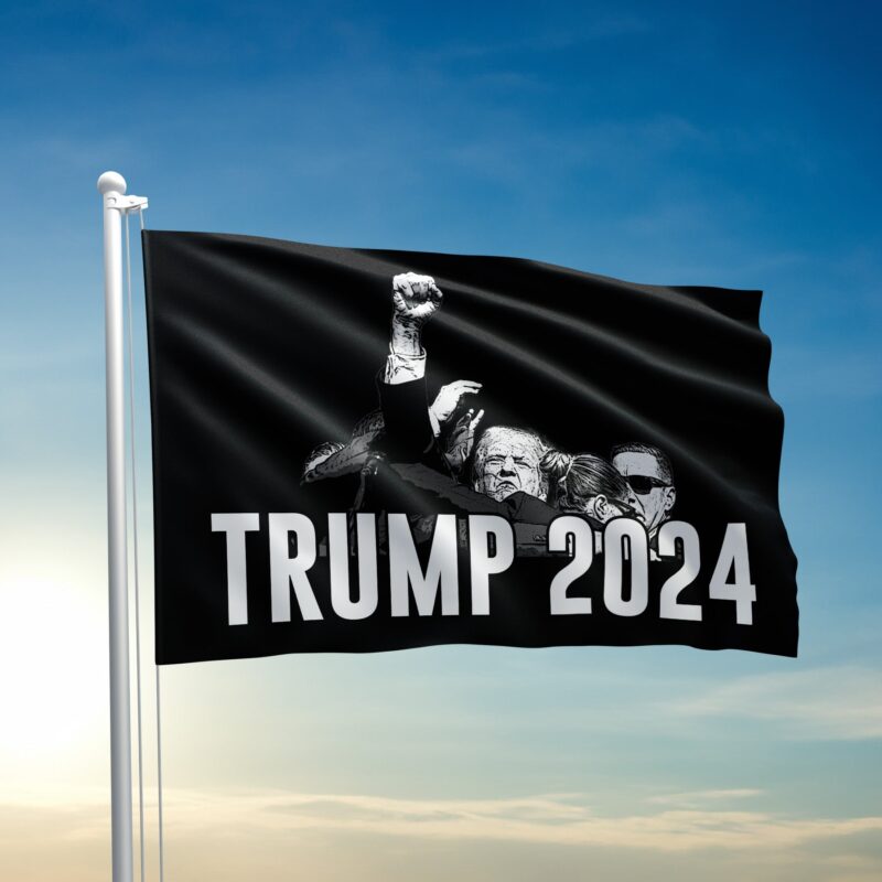 Mavivi "He's Got My Vote" Rally Fist Tee – Support Trump 2024 Graphic Shirt